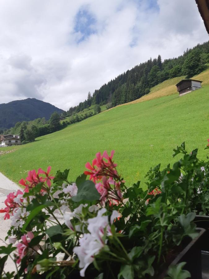 Ferienwohnung Schatzhof Jochberg Exteriör bild
